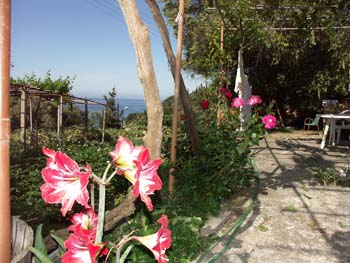 casa-kettygiardino.jpg